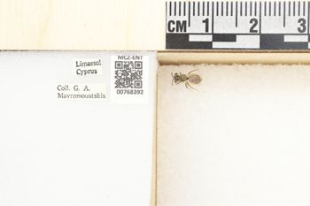 Media type: image;   Entomology 768392 Aspect: Labels